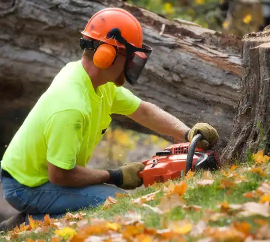 tree services Newellton